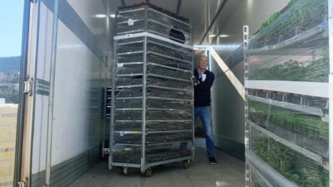 Les exportations françaises de végétaux ont progressé en 2021, mais en valeur, pas en volume. Les importations ont fortement progressé, portant le déficit du commerce extérieur du secteur du végétal à 1,1 milliard d’euros. ©F.Arnould